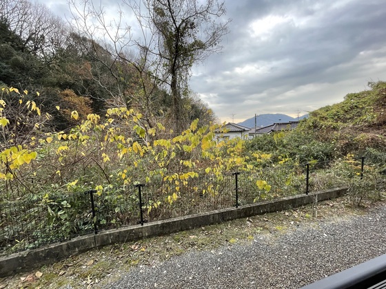 レオパレスはなみずき