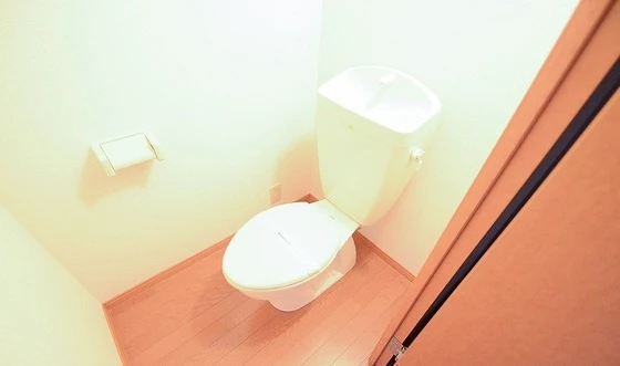 レオパレスラフィーナ