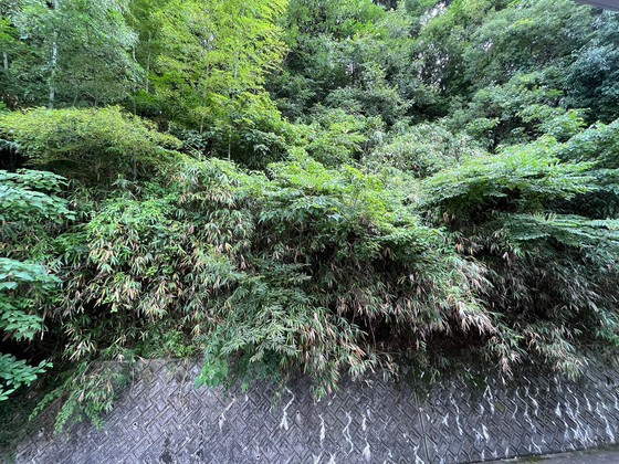 レオパレスアトリオⅡ