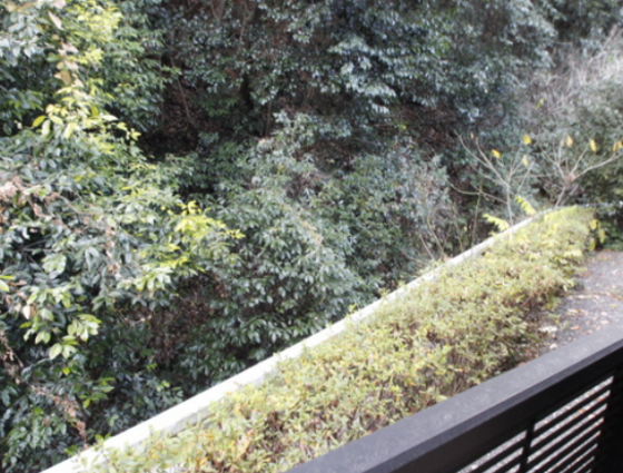 レオパレスKAMON Ⅵ