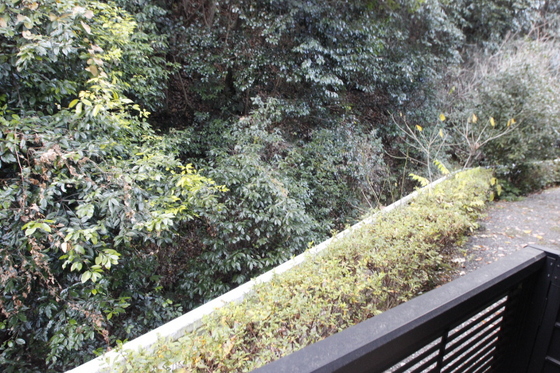 レオパレスKAMON Ⅵ