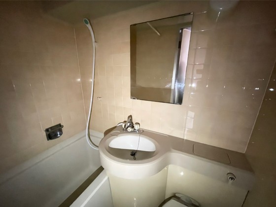 ダイアパレス平和通り