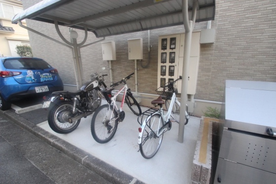 リバティコート