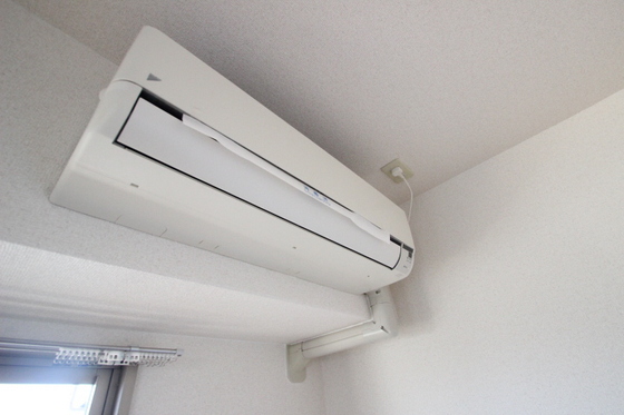 ティニーMatsuyama