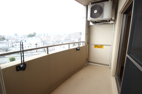 ティニーMatsuyama