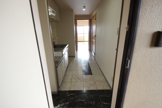 ティニーMatsuyama