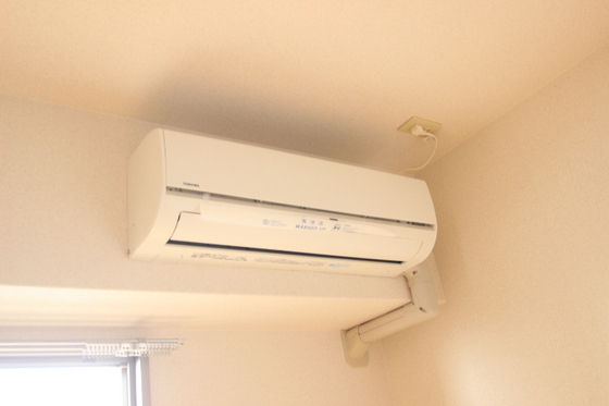 ティニーMatsuyama