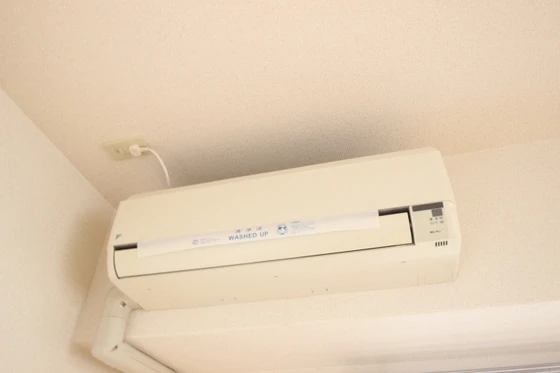 ティニーMatsuyama