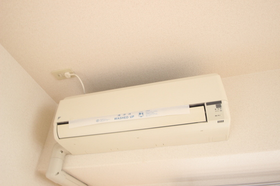 ティニーMatsuyama