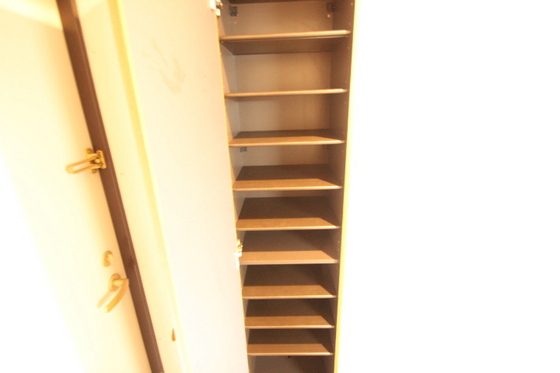 ティニーMatsuyama