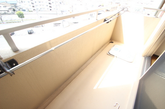 ティニーMatsuyama