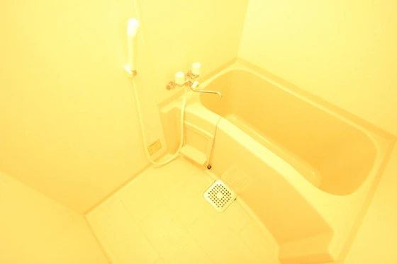 ティニーMatsuyama