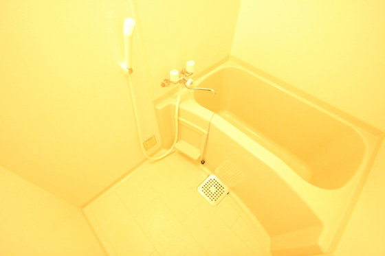 ティニーMatsuyama