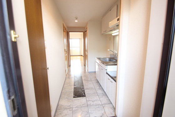 ティニーMatsuyama