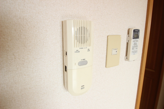 ティニーMatsuyama