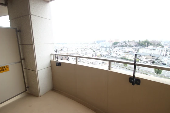 ティニーMatsuyama