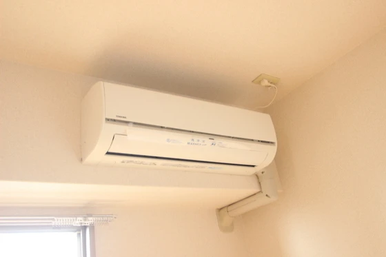 ティニーMatsuyama