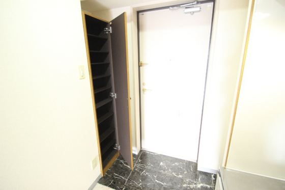 ティニーMatsuyama