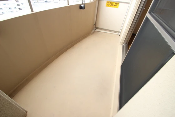 ティニーMatsuyama