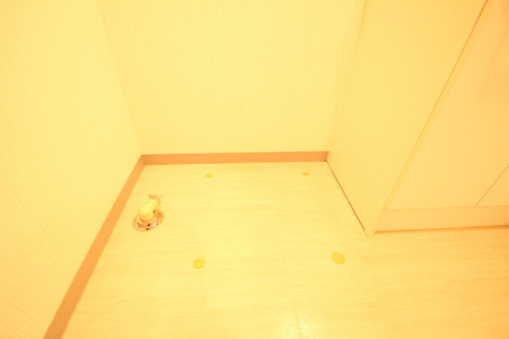 ティニーMatsuyama