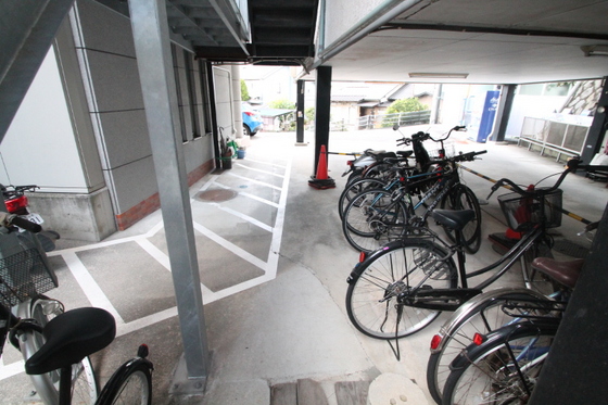 ティニーMatsuyama