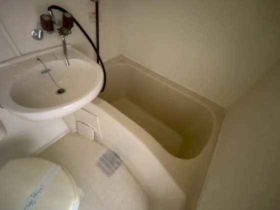 グリーンハウス