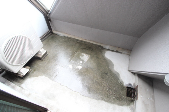 ステータスイン三川町