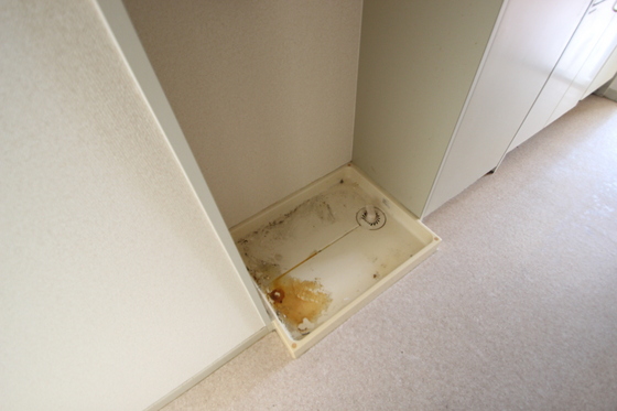 アペックス免出