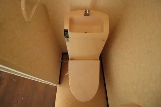 エクセリア小町