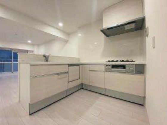 日商岩井光町ハイツ