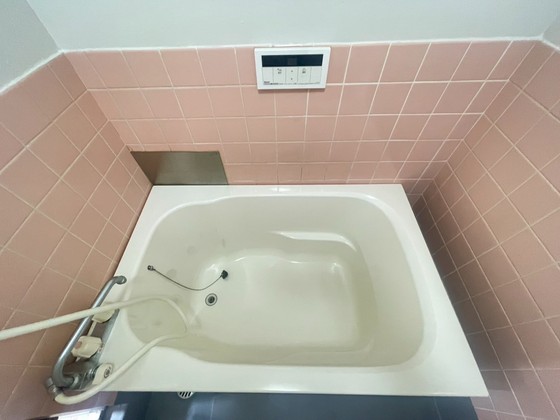 フェニックスビル