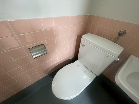 フェニックスビル