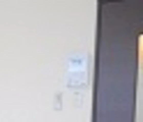 レオネクストプレミール