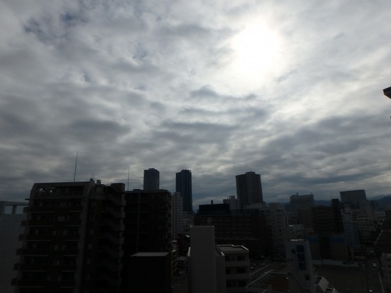 フローレンス光町