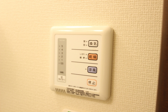 レオネクスト福寿草