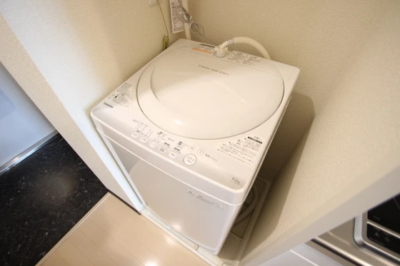 レオネクスト福寿草