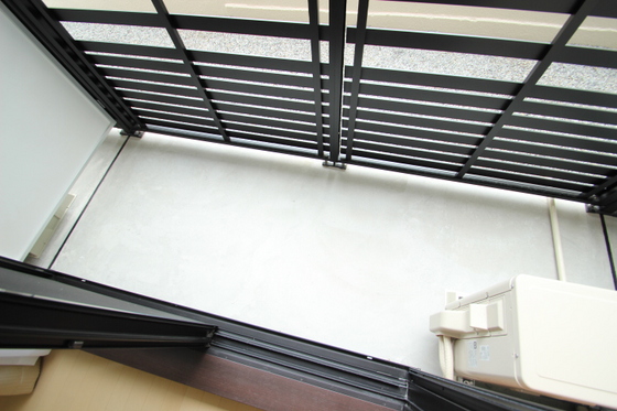 レオネクスト福寿草