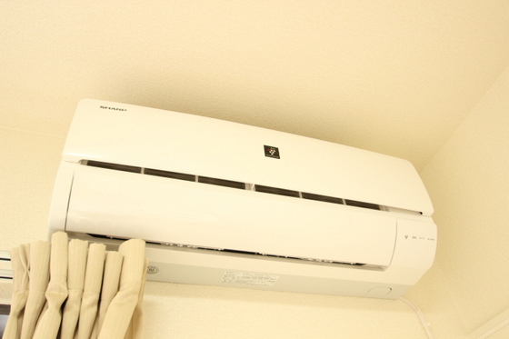 レオネクスト福寿草