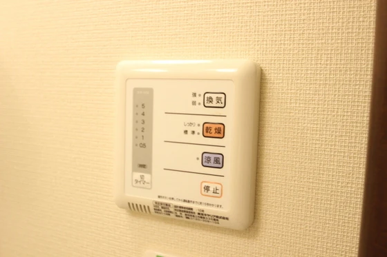 レオネクスト福寿草