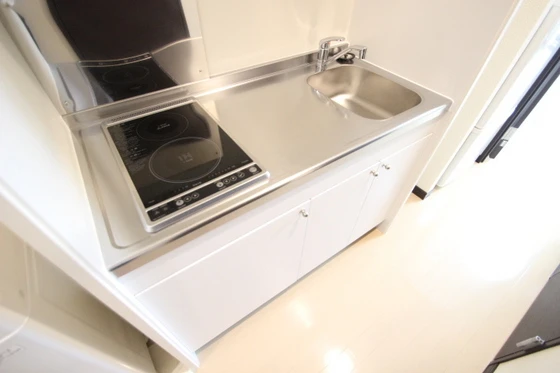 レオネクスト福寿草