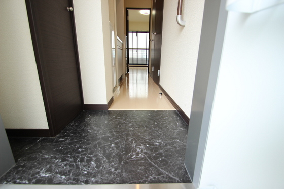 レオネクスト福寿草