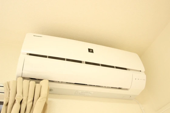 レオネクスト福寿草