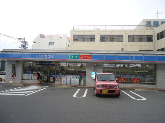 レオネクスト福寿草