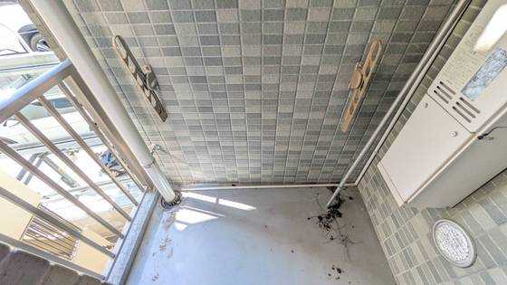 ルネスフォレスト