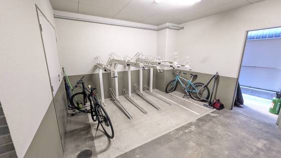 ルネスフォレスト