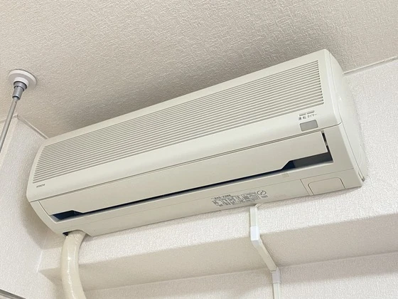 アスプロパラティ5