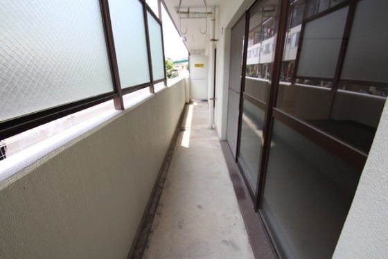 グリーンドエル鶴江