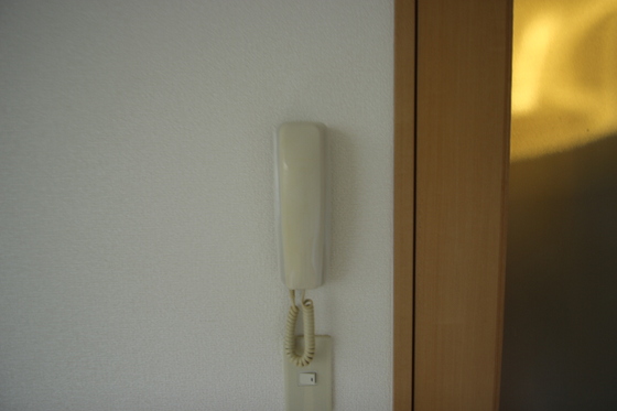 カンパーニュTN