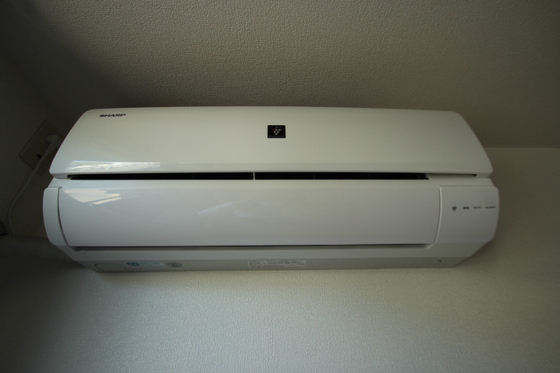 カンパーニュTN