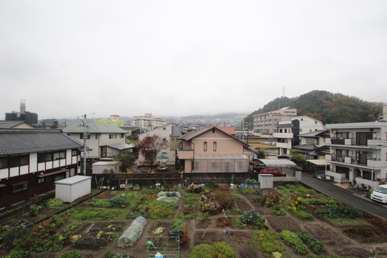 メゾンドールミト